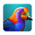 AI Gallery logo
