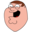 CanYouExplainTheJoke Icon