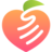 DappSlap logo