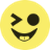 Expression Editor logo