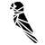 greyparrot.ai Icon