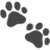 Pet Lens AI Icon