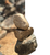 Removebackgroundai logo
