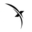 sistemexpert.com Icon