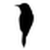Sparrow Studio logo