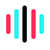 TikTok Voice logo