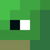 turtle Icon