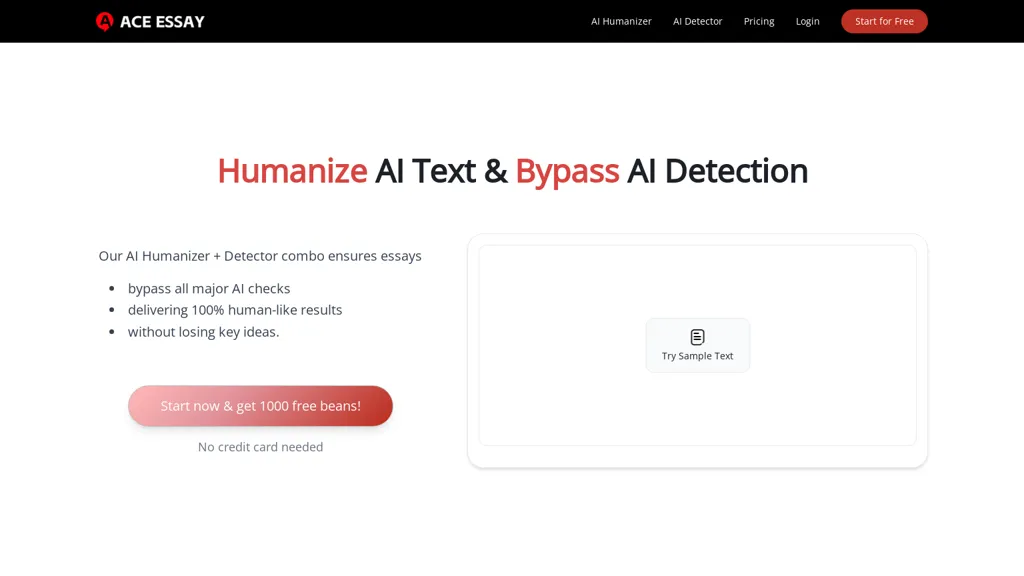 Aceessay website