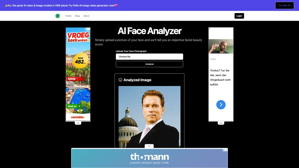 AI Face Analyzer AI tool screenshot