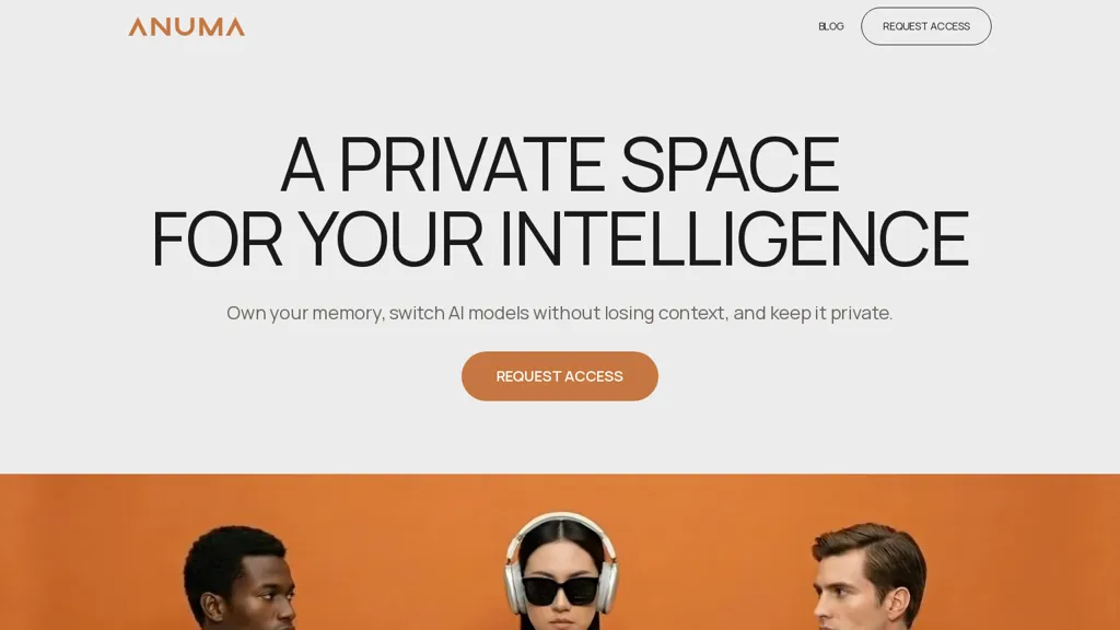 ANUMA AI AI tool screenshot