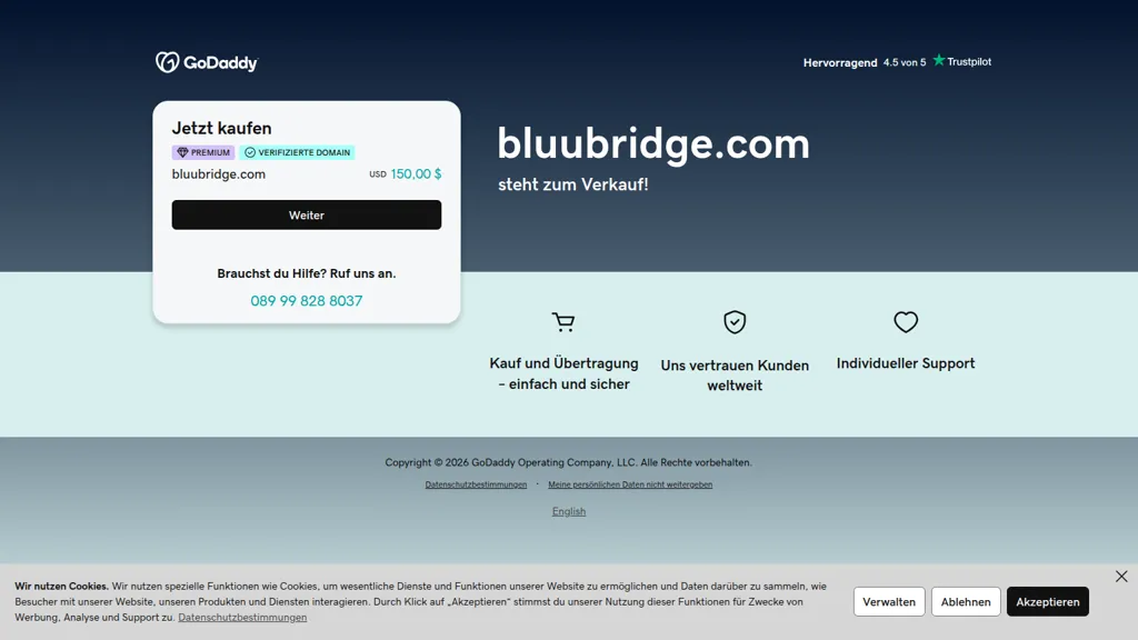 Bluubridge AI tool screenshot