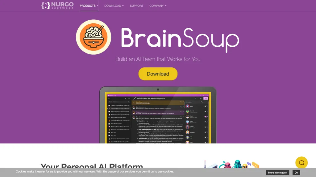 BrainSoup website