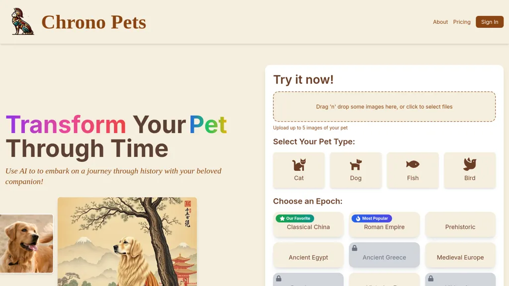 Chrono Pets website