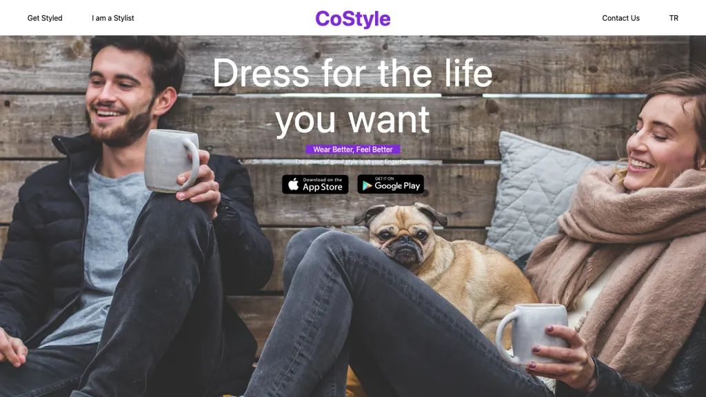 CoStyle website