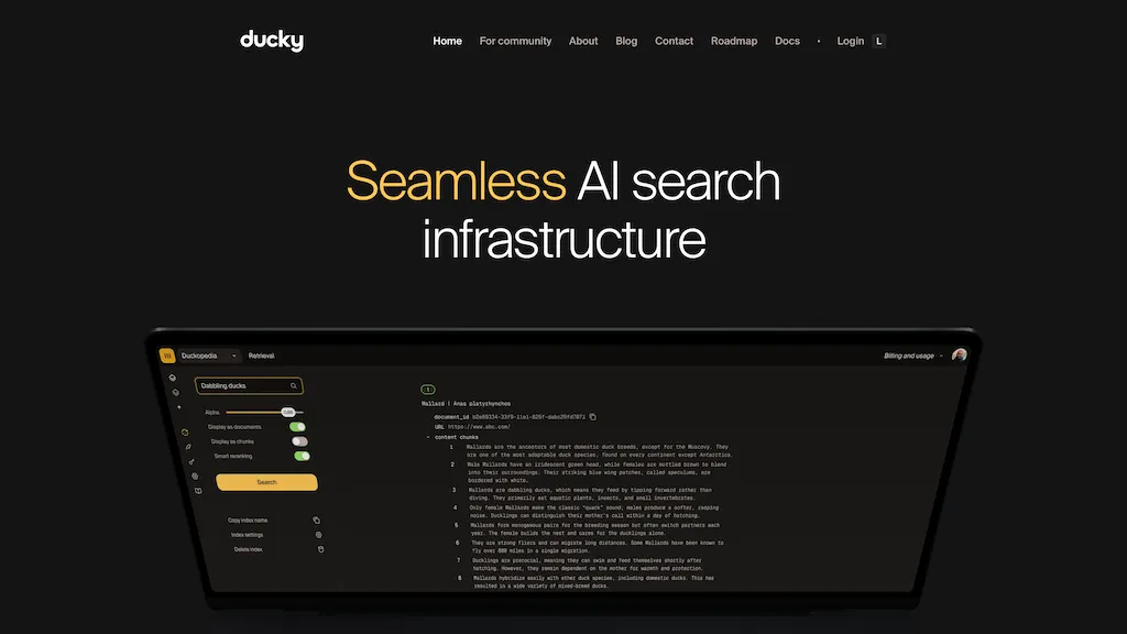 Ducky AI website