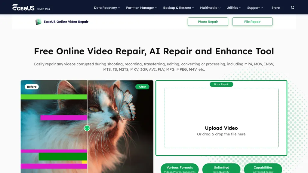 EaseUS Video Repair website