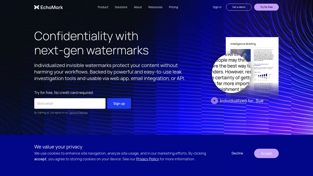 EchoMark AI tool screenshot