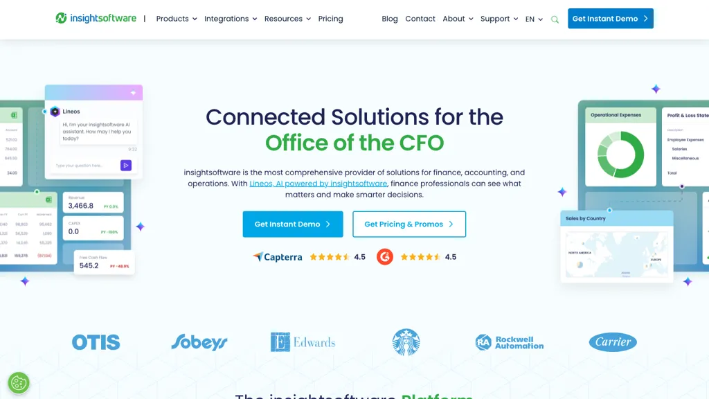 insightsoftware AI tool screenshot