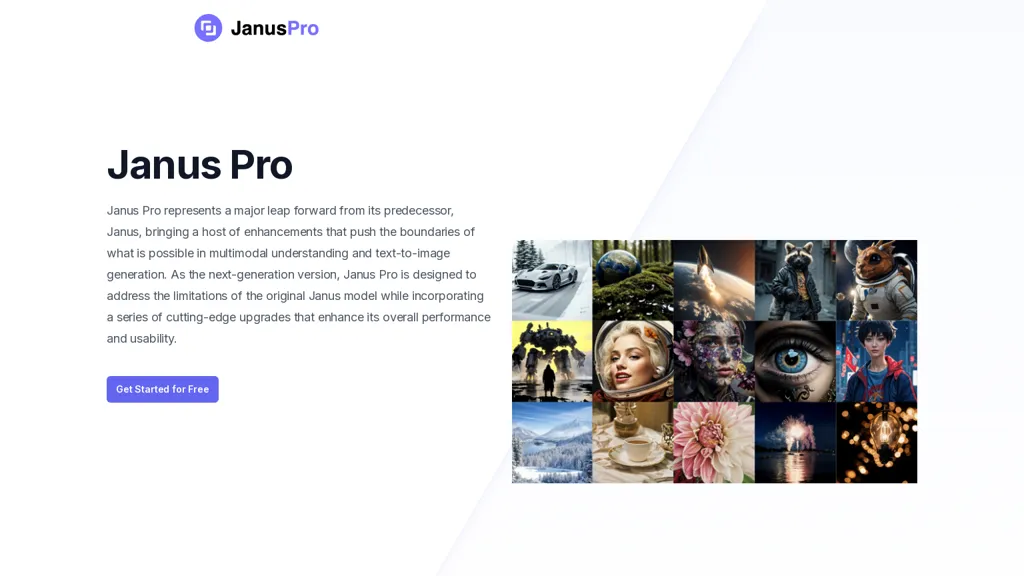 Janus Pro website