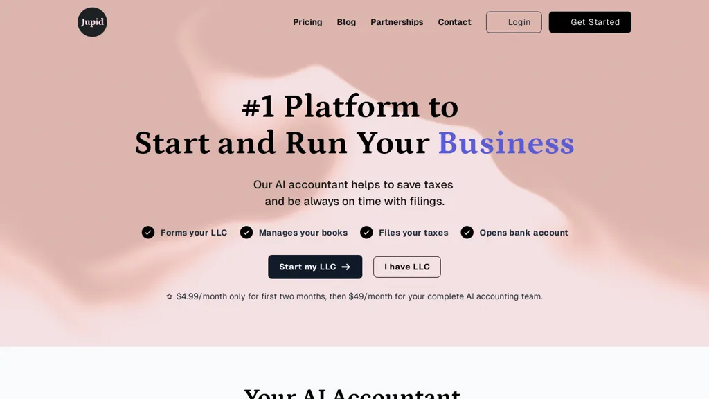 Jupid - AI Accountant website