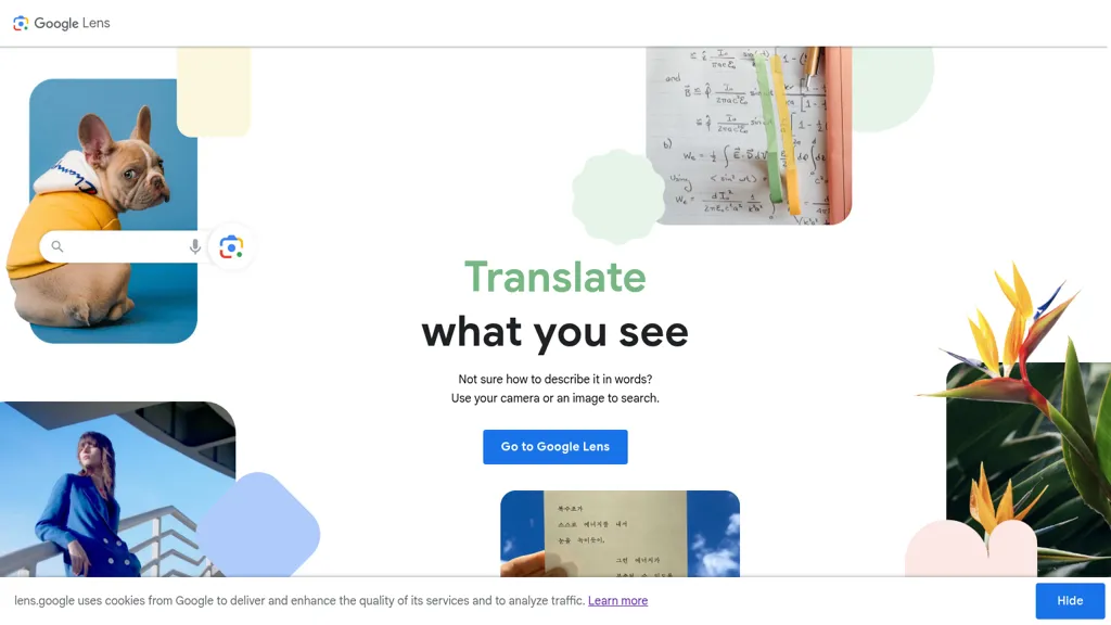 Lens.google AI tool screenshot