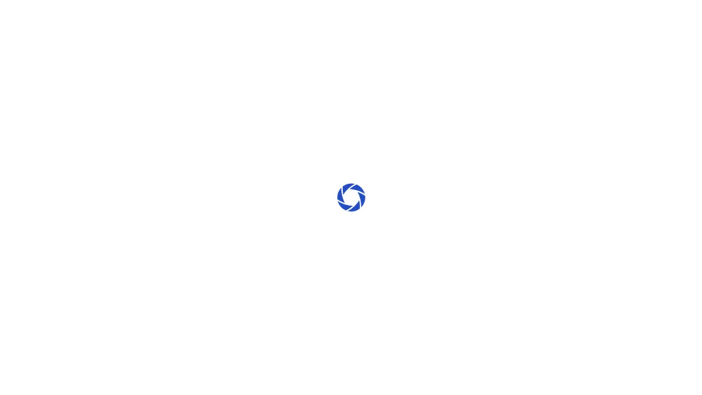 lifedata.ai AI tool screenshot