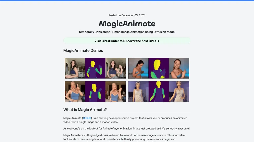MagicAnimate Playground website