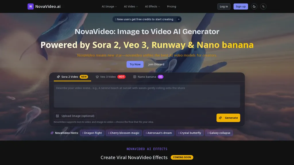 NovaVideo alternatives and competitors