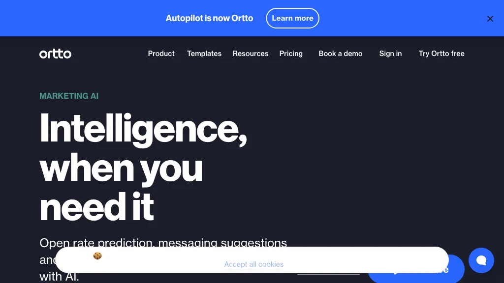 Ortto AI website