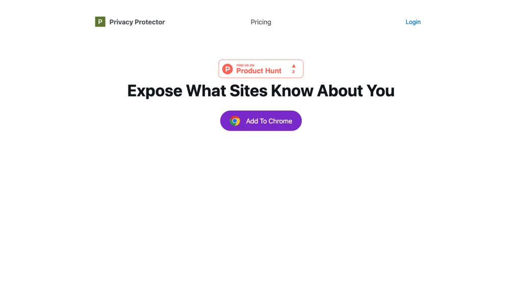 Privacy protector website