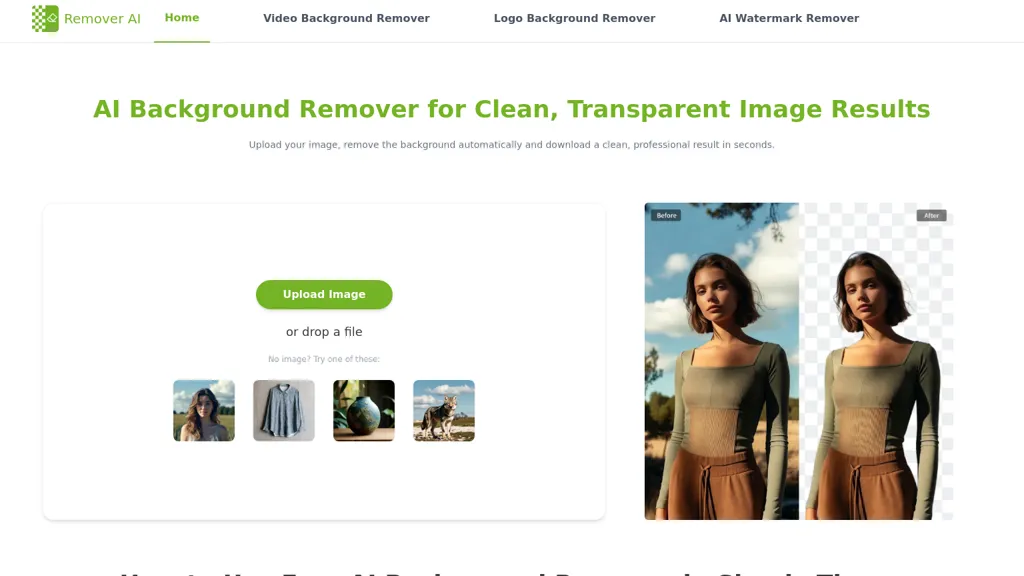 Remover AI alternatives and competitors