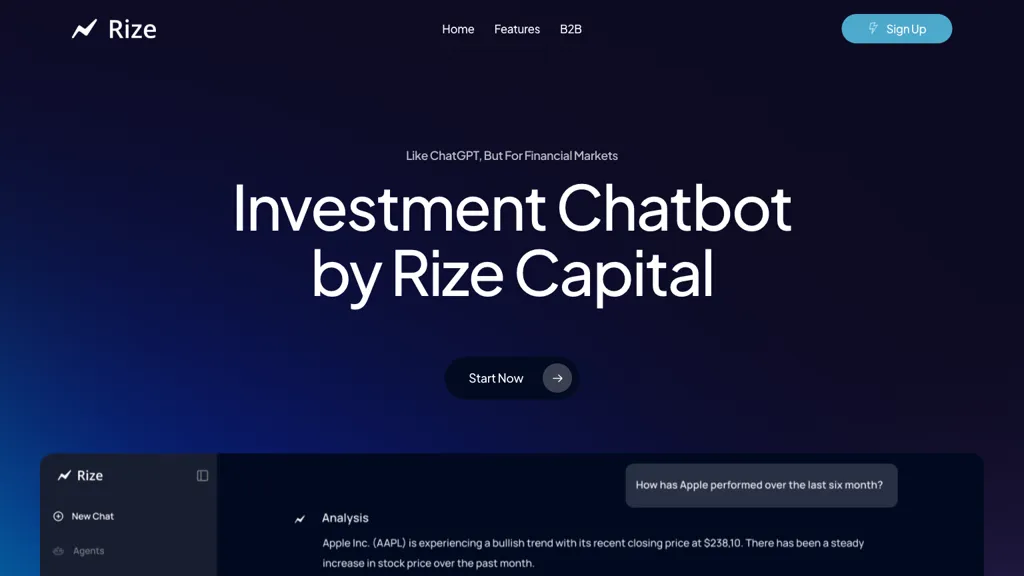 Rize Capital website