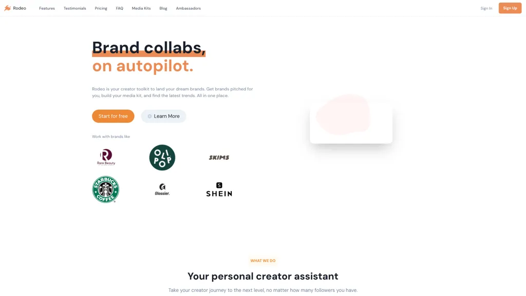 Rodeo AI tool screenshot