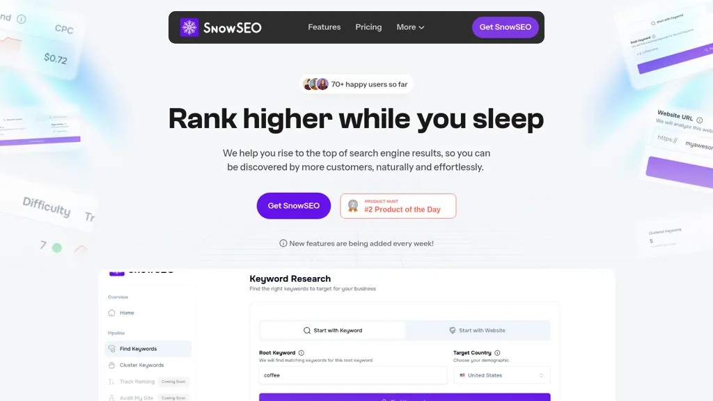 SnowSEO website
