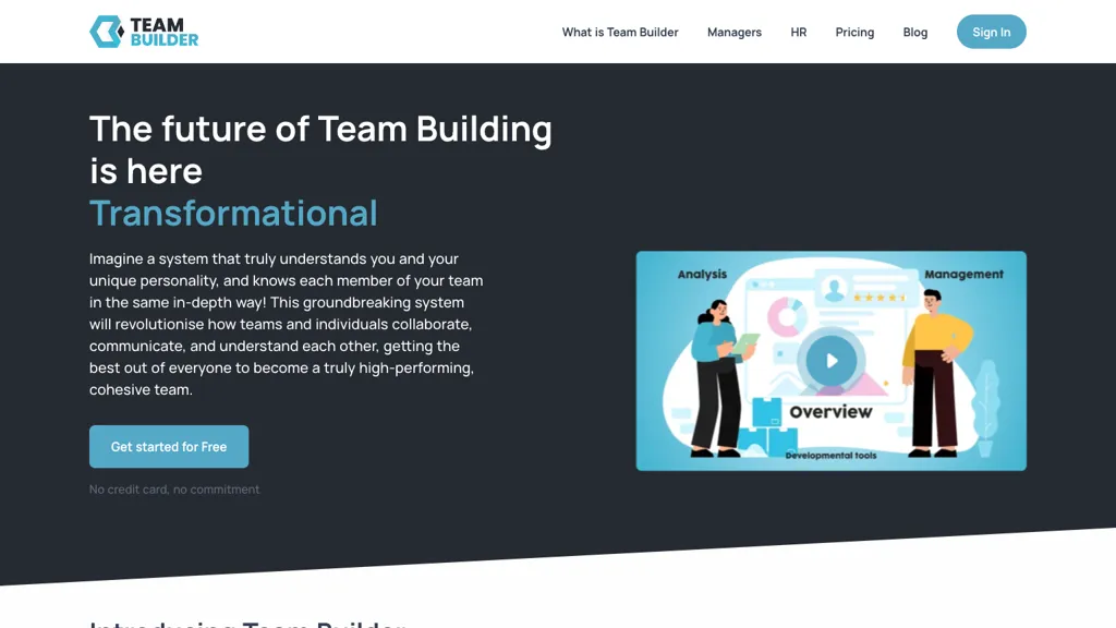 Team Assessment website
