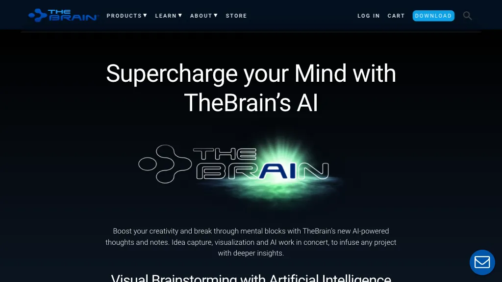 The Brain website