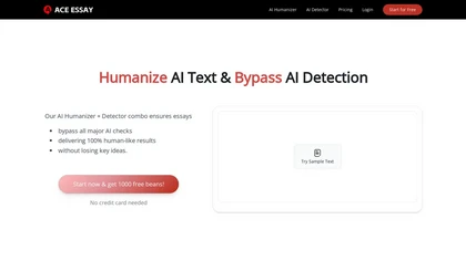 Aceessay website image