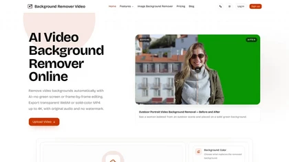 Backgroundremover.video website image