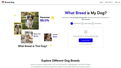 Breed.dog thumbnail