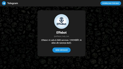 Effebot image
