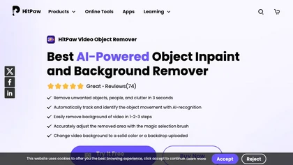 HitPaw Video Object Remover image