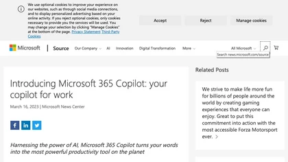 Microsoft 365 Co-pilot image