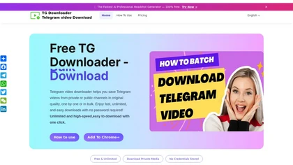 TG Downloader website image