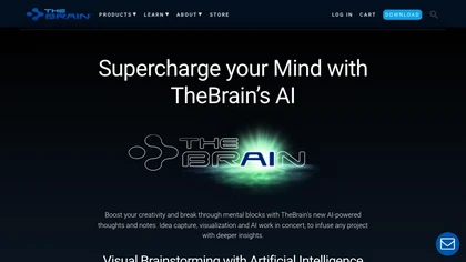 The Brain image