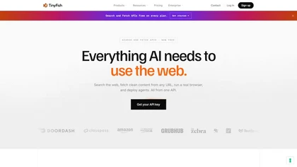 Tinyfish AI website image