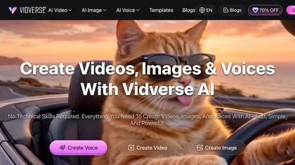 Vidverses website image