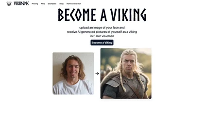 VikingPic image