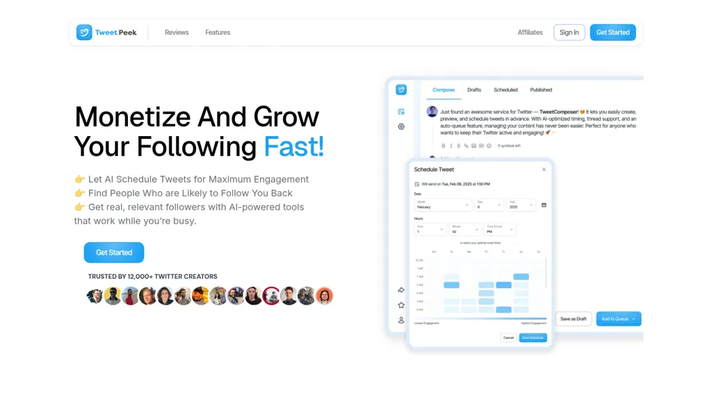 TweetPeek AI tool screenshot