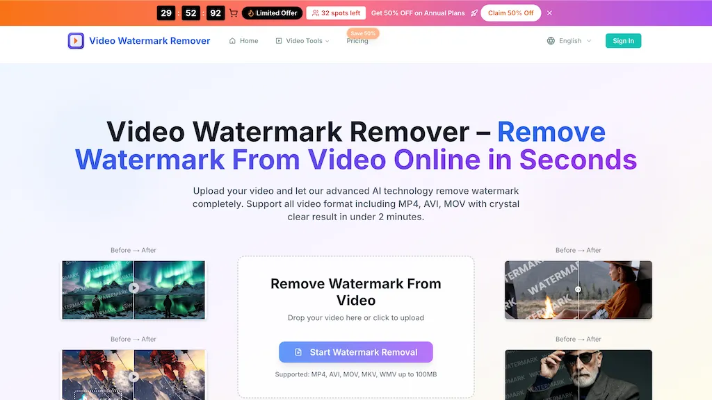 videowatermarkremover.org AI tool screenshot